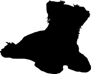 Miniature Schnauzer Silhouette SVG