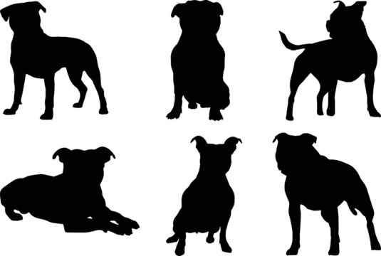 Staffordshire Bull Terrier Silhouette SVG