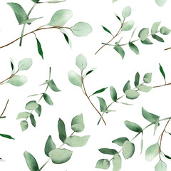 Watercolor seamless pattern with eucalyptus leaves isolated on white background. Hand-drawn winter and spring botanical backdrop for fabric, clothing, wrapping paper, decor