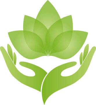 Zwei Hände und Blätter, Pflanze, Heilpraktiker, Gärtner, Logo	
