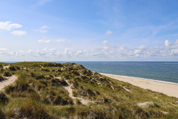 Fototapeta na wymiar Dune landscape in List at the island Sylt