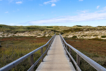 Fototapeta na wymiar Wooden walkway through the dunes on Sylt