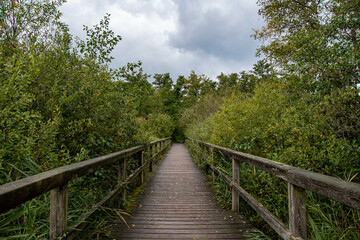 Fototapeta na wymiar Ein Holzbrücke über die Aalbek im Naturschutzgebiet Aalbek-Niederung
