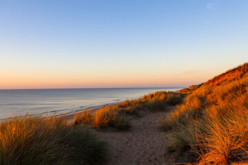 Fototapeta premium Beautiful dune landscape in the evening on Sylt