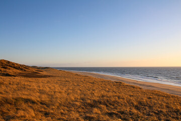 Fototapeta na wymiar Golden hour in the north of Germany, Sylt