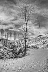 Hostyn hills. Crossroads of forest roads in winter. Black and white. Czechia. Europe. 
