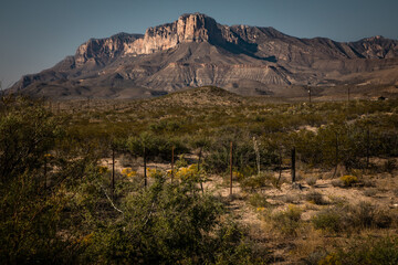 Guadalupe Mountains National Park, Texas. 