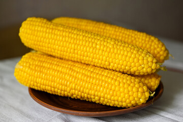 Four freshly brewed sweet corn on a plate.