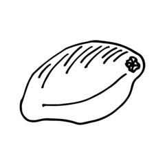 Lemon isolated doodle illustration black and white.