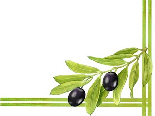 Banner with black olives on a white background. With an empty space for the text. Design elements.