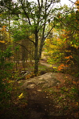 Eagle's Nest lookout and conservation area located in Bancroft, Ontario. Canadian forest during the autumn season.