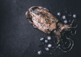 Cuttlefish, cuttle or devilfish or sepia , fresh seafood. Fresh raw whole Cuttlefish  with tentacles on dark background with ice cubes. Top view, rustic style, copy space