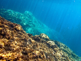 fondale marino Isola Bella Taormina 509