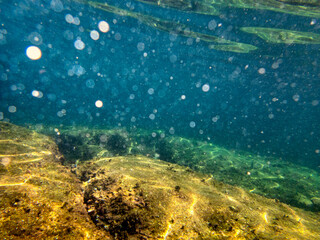 Fondale marino Isola Bella Taormina 656