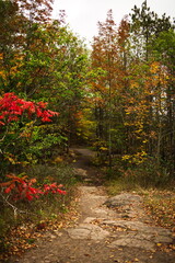 Eagle's Nest lookout and conservation area located in Bancroft, Ontario. Canadian forest during the autumn season.