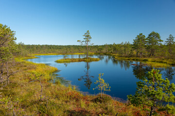 Viru bog nature trail,Harju County, Lahemaa National Park, Estonia
