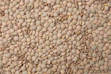 food varietly venezuenaln tasty