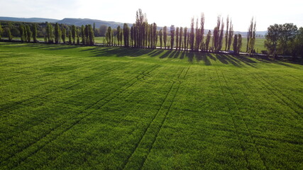 Green field with car on a road on background. Beautiful aerial landscape. Top view. Shooting from a drone or quadrocopter. Traffic on highway.