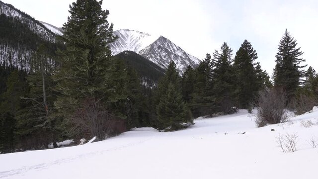 Splitboarder hauling sled into the mountains 