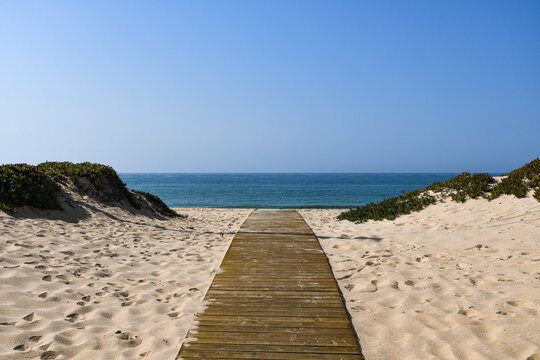 wooden walkway on the beach