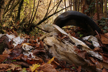 semi covered old car tyre abandoned in the woodland - italian environmental pollution