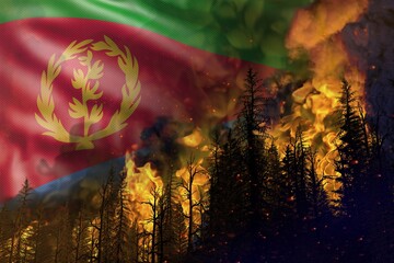 Forest fire fight concept, natural disaster - heavy fire in the woods on Eritrea flag background - 3D illustration of nature