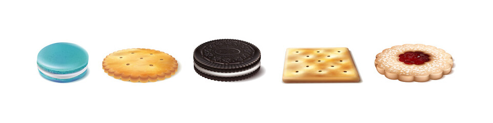 vector collection of types of cookes. Crackers, macaroons, linzar cookie, oreo. Isolated on white background. Side view.