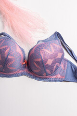 Women's lace bra on white background. Pink and blue lingerie. Dried flowers