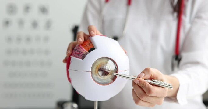 Ophthalmologist doctor showing structure of eye on background of vision examination table 4k movie
