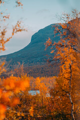 autumn and hill