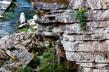 white slab wood concrete in the national park