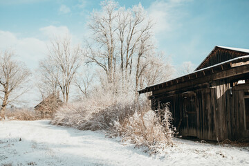 Barn in Winter