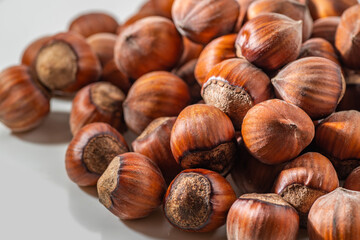Hazelnuts in the shell. Round filbert, ripe fruit of a Corylus avellana hazel shrubs.