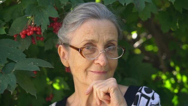 Beautiful old grandmother with grey hair and face with wrinkles wearing eyeglasses is grimacing and smiling on green tree background, mothers day, happy retirement