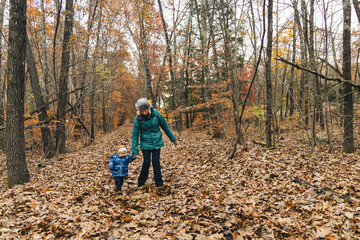 Obraz premium Senior woman holding hands with her granddaughter while walking in the woods