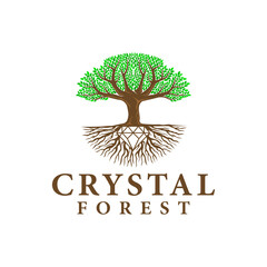 Obraz premium crystal forest trees, roots logo inspiration