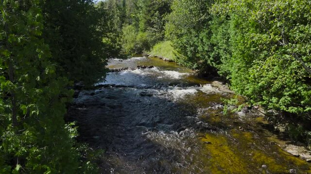 High angle view of river water flowing, between green banks, forest trees; Ocqueoc Falls River over rocks in Northwest Michigan in late summer--late morning. 493 