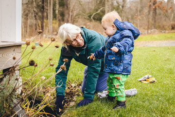 Senior woman works in her garden planting bulbs with her granddaughter