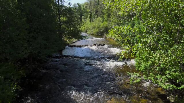 High angle view of river water flowing, between green banks, forest trees; Ocqueoc Falls River over rocks in Northwest Michigan in late summer--late morning. 494 