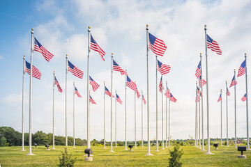 Many USA American flags flying on green field