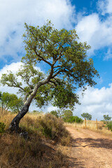 Obraz premium Highlands of the Algarve, Portugal.