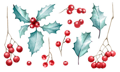 Watercolor Holly and red berries set. Christmas and New Year symbol. Isolated on white background, plant illustration for winter holidays design.