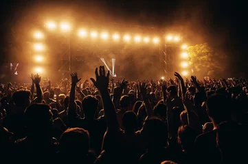 Foto op Plexiglas Silhouettes of concert crowd in front of bright stage lights on a music festival © Zamrznuti tonovi