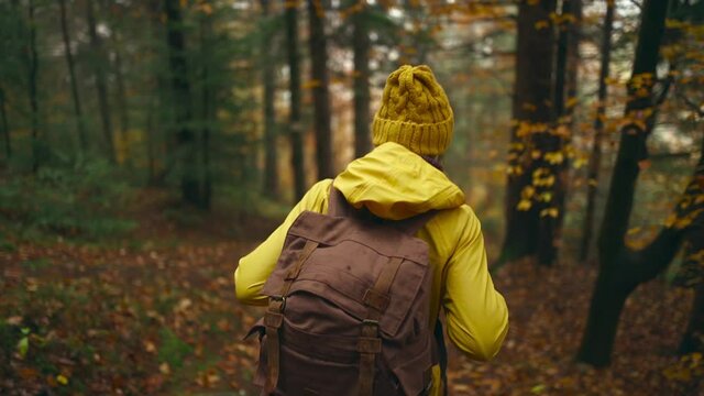 slow motion female hiking in forest in Atumn. adventurous woman in yellow outdoor wear with backpack hiking on trail peaceful green woods with tracking shot from behind.