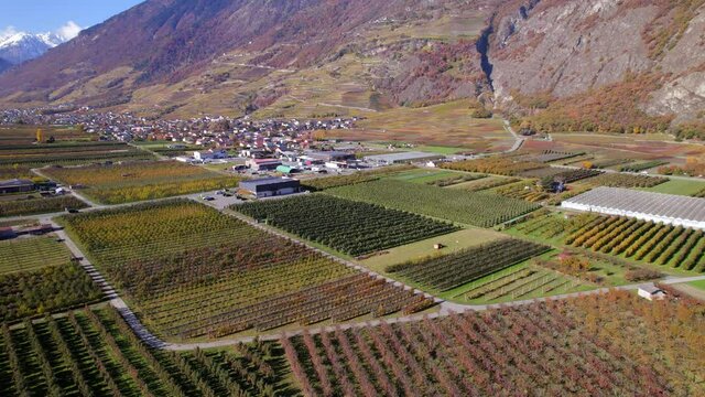 Valais Wine Region Switzerland's Largest Vineyard and Wine Production Area