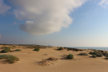 Vega Baja del Segura - Guardamar del Segura - Dunas y pinada
