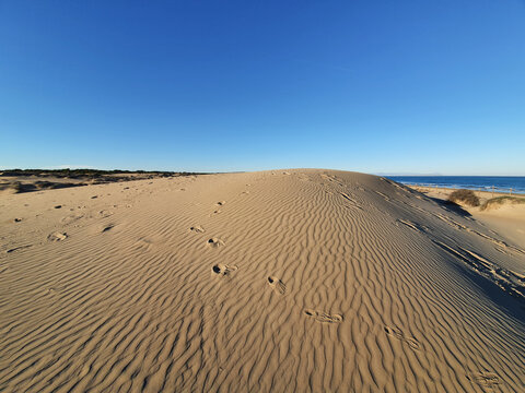 Vega Baja del Segura - Guardamar del Segura - Dunas y pinada