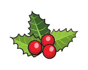 Drawing of holly berry