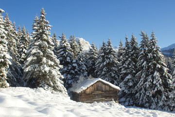 Beautiful winter morning in norwegian mountains,pine tree covered with snow near Hemsedal,Norway,ecological place,scandinavian lifestyle,horizontal wallpaper,calendar,poster,print for wall canvas.