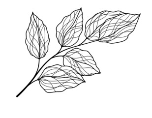 
Branch with leaves. Minimalistic leaves. Modern style. Orange background. Line style.